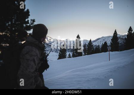 U.S. Marine Corps Col. Daniel J. Wittnam, commanding officer, Marine Corps Mountain Warfare Training Center, Bridgeport, California, looks over the Toiyabe National Park during Mountain Training Exercise (MTX) 2-21 Feb. 3, 2021. The purpose of MTX is to prepare Marines for harsh weather conditions while enhancing winter warfare skills in cold weather environments.