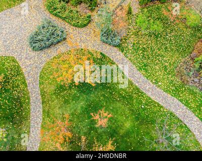 Aerail view of walk path between multicoloroed bright vibrant garden tree first fallen dry leaves on green grass lawn at home yard or city park in Stock Photo
