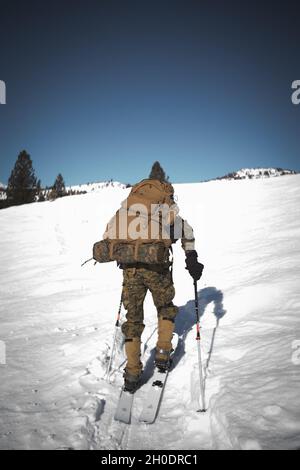 U.S. Marine Corps Col. Daniel J. Wittnam, commanding officer, Marine Corps Mountain Warfare Training Center, Bridgeport, California, cross-country skis through the Marine Corps Mountain Warfare Training Center, Bridgeport, California during Mountain Training Exercise (MTX) 2-21 Feb. 3, 2021. The purpose of MTX is to prepare Marines for harsh weather conditions while enhancing winter warfare skills in cold weather environments.