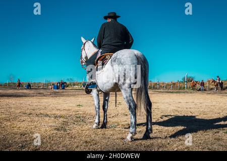 Argentine gaucho with hat on horse Stock Photo