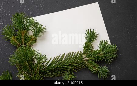 Christmas greeting card template. Empty space for New Year wishes, holiday event invitation. White blank paper message note, fresh fir twig on black b Stock Photo