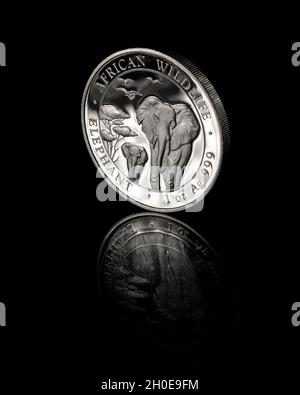 2015 Somali elephant: 1oz .999 pure silver coin, 100 Shillings, created by the Bavarian State Mint on behalf of the Somalia Republic. Stock Photo