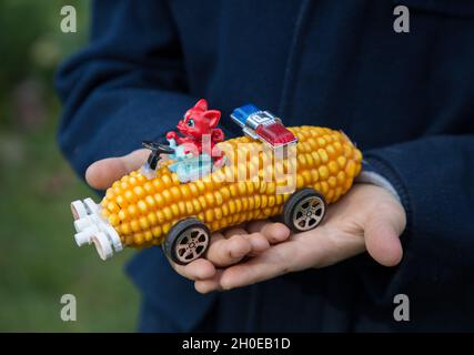 child holds in his hands a children's car made of dry yellow corn. family creativity from natural materials. Inspiration from nature. Humor, do-it-you Stock Photo