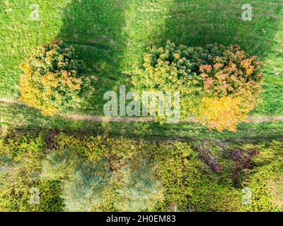 Aerial view of beautiful forest on autumn day. Small road, Sun shining. Natural green, orange and yellow background. Photo from the dron Stock Photo