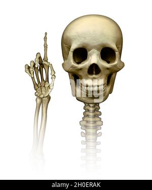 Human Skull with skeletal hand holding up index finger, signifying number one, against a white backround. Stock Photo