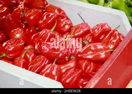 Produce on sale displayed outside at a vegetable market in Edinburgh. Stock Photo