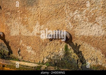 The fountain Labat Siscar at the twelfth century Cistercian monastery of Santa Maria de Poblet, Catalonia. Stock Photo