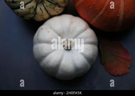 overhead of group of three varieties of squash and pumpkins on dark background with leaf detail. Stock Photo