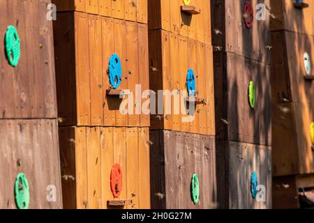 view of wooden bee hives with flying honey bees in and out Stock Photo