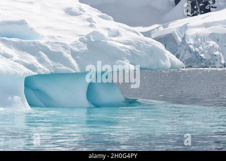 Close up of a melting iceberg covered with snow. Paradise Harbor, Grahamland, Antarctica Stock Photo