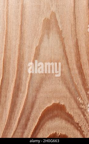 light wood with interesting grain Stock Photo