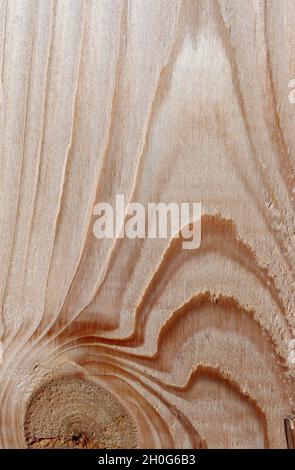 light wood with interesting grain Stock Photo