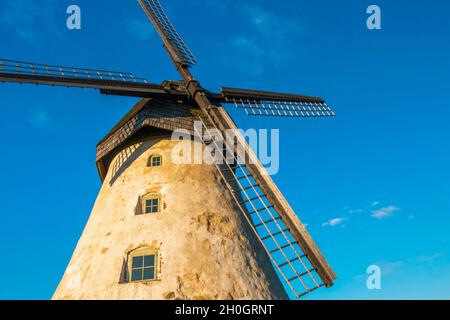 Ancient Āraiši Windmill with its wings in Gauja National Park, Latvia. Close-up photo of the wooden blades of the Dutch-type mill on a blue sunny sky. Stock Photo