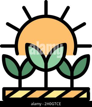 Plants under sun icon. Outline plants under sun vector icon color flat isolated Stock Vector