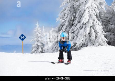 Young boy skiing on slope in mountains with snowy trees in background Stock Photo