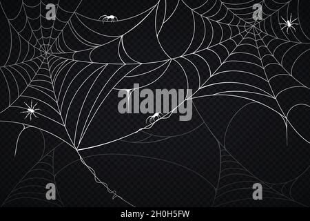 halloween cobweb background vector design illustration Stock Vector