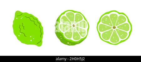 Set of three limes on a white background. Vector illustration Stock Vector