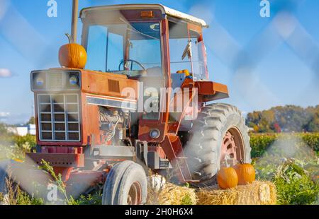 A farmer's tractor displays an autumn bounty in countryside. A tractor decorated with hay and pumpkins for Thanksgiving Day and Halloween Festival. St Stock Photo