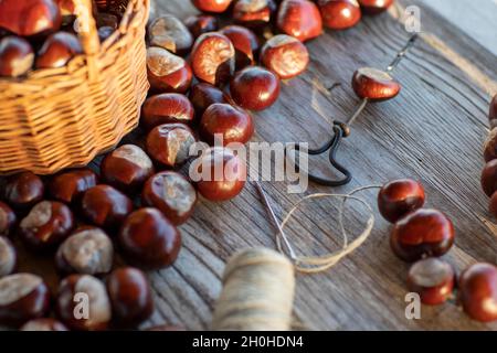 Chestnut string with seeds of the common sweet buckeye (Aesculus flava) in front of basket with collected chestnuts on craft table with drill, hemp Stock Photo