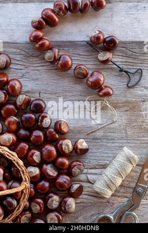 Chestnut string with seeds of the common sweet buckeye (Aesculus flava) next to basket with collected chestnuts on craft table with scissors, drill Stock Photo