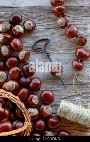Chestnut string with seeds of the common sweet buckeye (Aesculus flava) next to basket with collected chestnuts on craft table with drill, hemp Stock Photo