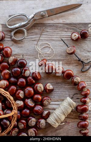 Chestnut string with seeds of the common sweet buckeye (Aesculus flava) next to basket with collected chestnuts on craft table with scissors, drill Stock Photo