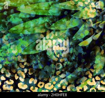 Print,Textile Fabric Print Pattern, Cushion Designs, Dress Pattern Design, Leopard, Camouflage, Zebra, Baroque and Combination Patterns. Stock Photo