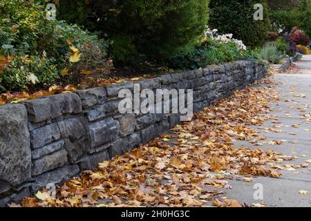 Well maintained rusticated stone retaining wall beside a sidewalk, yellow and brown autumn leaf littter, horizontal aspect Stock Photo