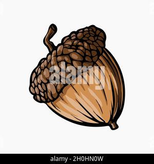 Acorn Vector Illustration Cartoon Clipart Stock Vector