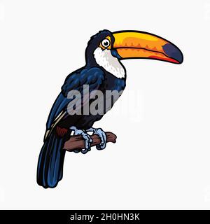 Toucan bird vector illustration cartoon Stock Vector