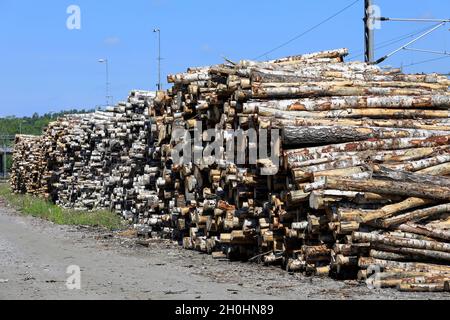 Birch timber logs piled up at Salo Railway Station, waiting for transport by train. Salo, Finland. July 18, 2020. Stock Photo
