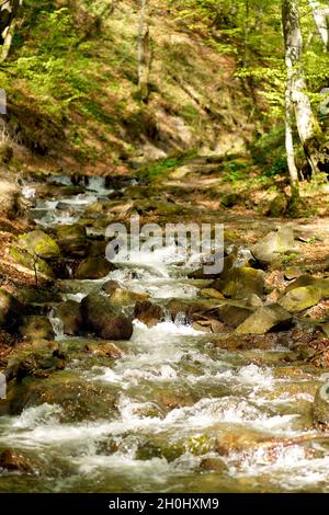 Mountain River with, forest landscape. Tranquil waterfall scenery in the middle of green forest. Stock Photo