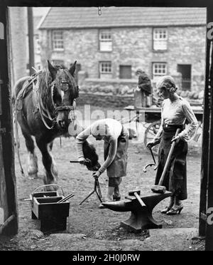 Two Bristol University students are working weekends as farriers in Winford, Somerset, England, to gain practical experience. [automated translation] Stock Photo