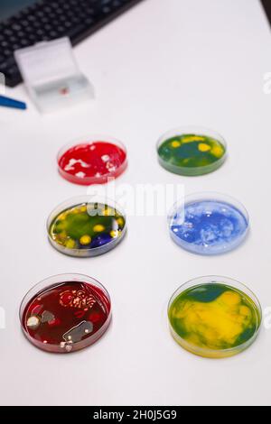 Close up of petri dish with bacteria and virus on desk. Examination tool for microscopic analysis in science laboratory. Glassware trays filled with colorful substance or dna for development Stock Photo