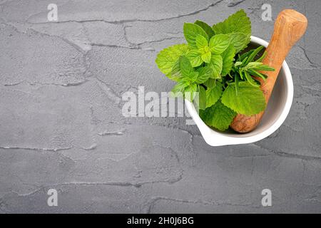 Alternative medicine fresh herbs in the stone mortar . Food ingredients and seasoning  peppermint , rosemarry and lemon balm  in a stone mortar set up Stock Photo