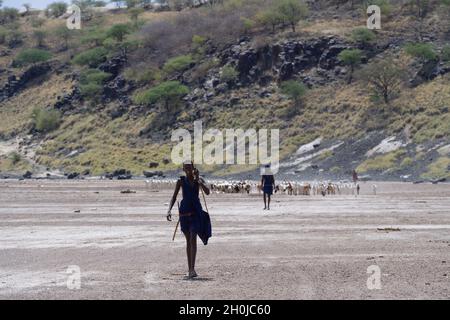 A Maasai herdmen herding goats along the dried up shores of Lake Magadi, Kenya. Lake Magadi is a saline, alkaline lake, approximately 100 square kilom Stock Photo