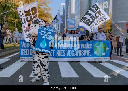 Brussels, Belgium - Oct. 10. 2021.  Back to the Climate March. Tens of thousands have marched calling for urgent measures against climate change. Stock Photo