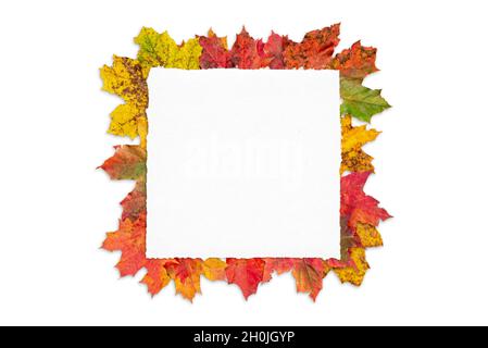 Blank paper surrounded by leaves on white surface. Creative greeting card with copy space. Autumn season bacgkround Stock Photo