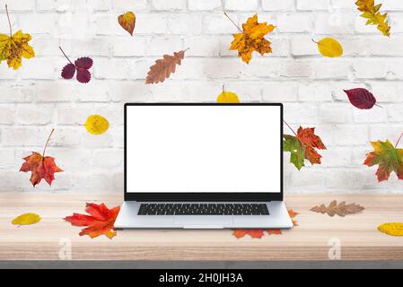 Autumn colorful leaves fall on the laptop. Creative concept. Laptop with isolated screen for mockup, design presentation Stock Photo