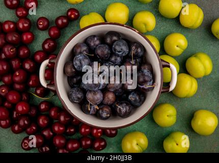 top view of the small sour blue-black fruit sloes on a sauce pan with red cherries and green cherry plums isolated on a green background Stock Photo