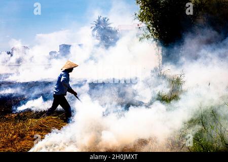 Hoi An rice farmer walks into the smoke and fire as his rice field burns in Vietnam. Stock Photo