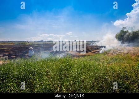 Farmer works his rice field and burns straw from his rice harvest. Stock Photo