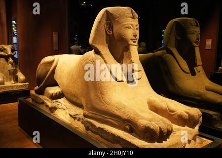 TURIN, ITALY - AUGUST 19, 2021: Egyptian sphinx statue at the Egyptian Museum of Turin, Italy Stock Photo