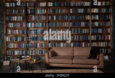 Bookshelves in the library. Large bookcase with lots of books. Sofa in the room for reading books. Library or shop with bookcases. Cozy book background. Bookish, bookstore, bookshop Stock Photo