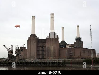 A giant inflatable pig flies above Battersea Power Station on the banks of the river Thames in central London, during a recreation of the cover of the Pink Floyd album 'Animals' - released 35 years ago - to celebrate the release of 'Why Pink Floyd', a digitally remastered box set of all 14 Pink Floyd studio albums. Stock Photo