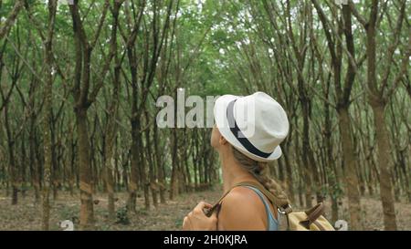 The traveler walks between trees plantation agriculture of asia for natural latex extraction milk in traditional. Stock Photo