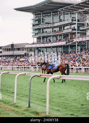 Horses and Jockeys in front of a Grandstand - A day's horse racing on a summer weekend event at York Racecourse York,Yorkshire, England UK 2021 Stock Photo