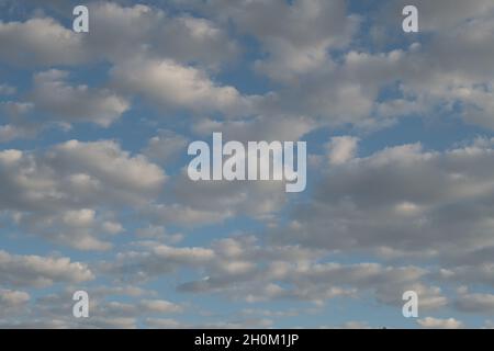 fluffy Stock Photo