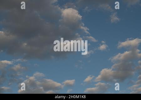 fluffy Stock Photo