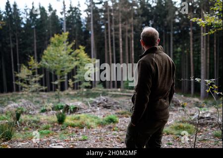 13 October 2021, Czech Republic, ·eská Kubice: Forester Martin Semecký looks at an area in the forest where forest workers were working. An 8-year-old girl from Berlin was found in the border area on the German-Czech border on Tuesday. Photo: Daniel Vogl/dpa Stock Photo